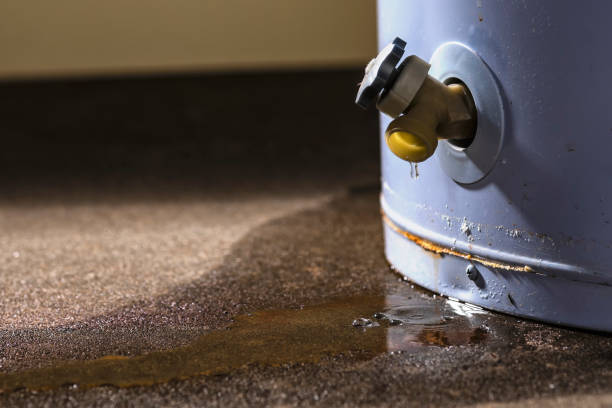 Best Carpet water damage restoration  in Walkertown, NC