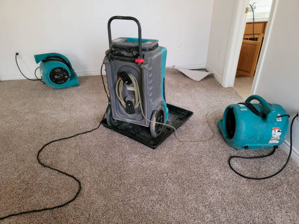 Best Flooded house restoration  in Walkertown, NC
