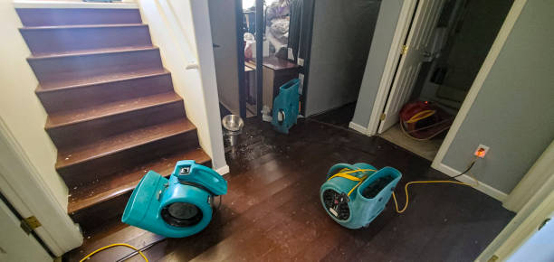 Best Basement water damage restoration  in Walkertown, NC