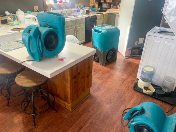 Best Local water damage restoration  in Walkertown, NC