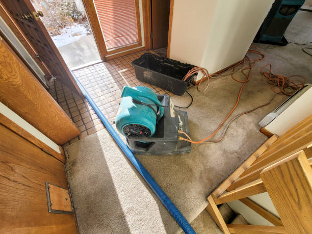 Best Water damage restoration near me  in Walkertown, NC