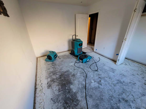 Best Flood damage cleanup  in Walkertown, NC