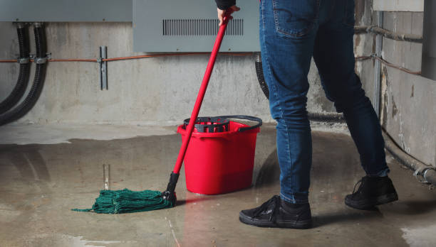 Best Water damage restoration near me  in Walkertown, NC