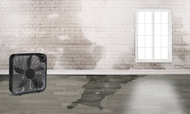  Walkertown, NC Water damage restoration Pros