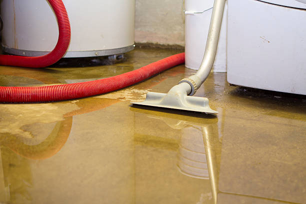 Best Residential water damage restoration  in Walkertown, NC