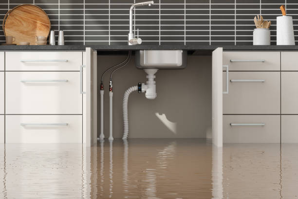 Best Fire Damage Restoration  in Walkertown, NC