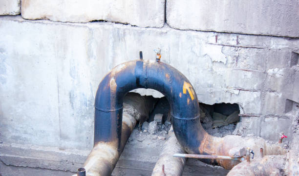 Best Basement water damage restoration  in Walkertown, NC