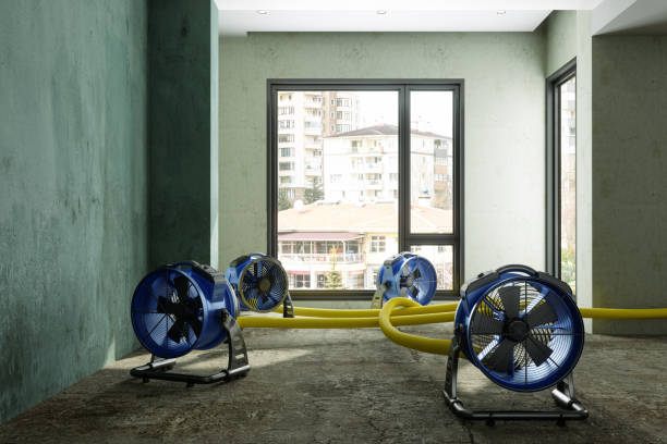 Water damage restoration mold remediation in NC