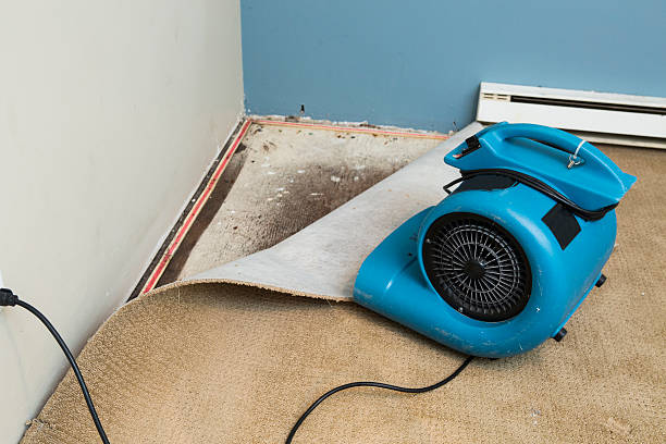 Best Commercial water damage restoration  in Walkertown, NC